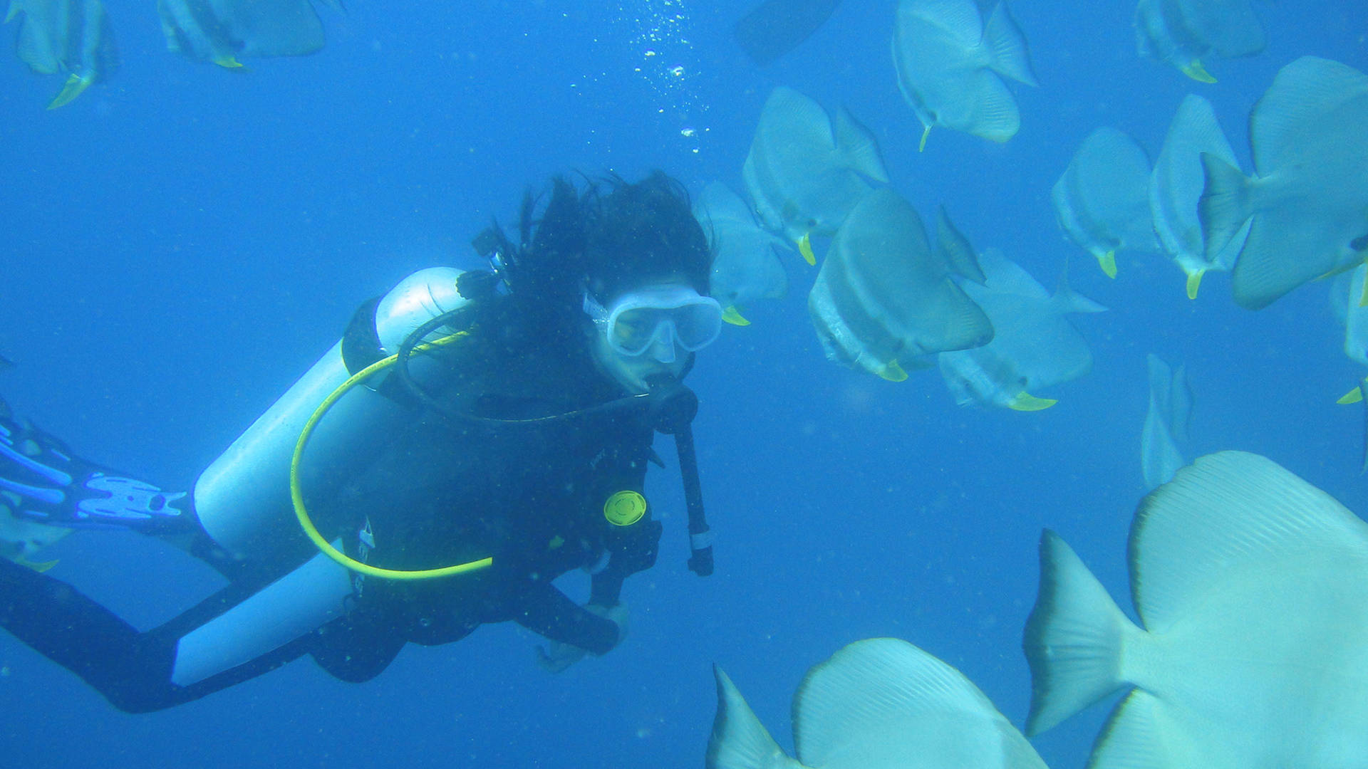 Jumeirah Vittaveli scuba diving