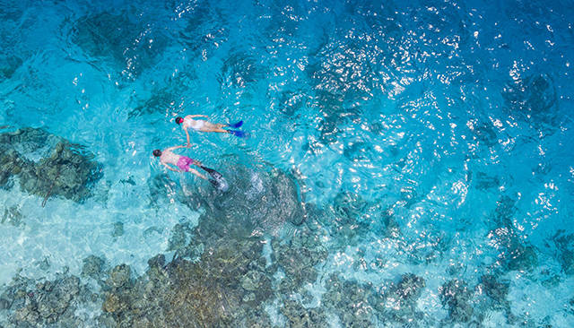 السباحة بأنبوب التنفس في جزر المالديف - شهر العسل في جزر المالديف